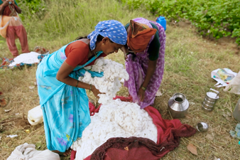 India: Farmers
 Increase Cotton Fields